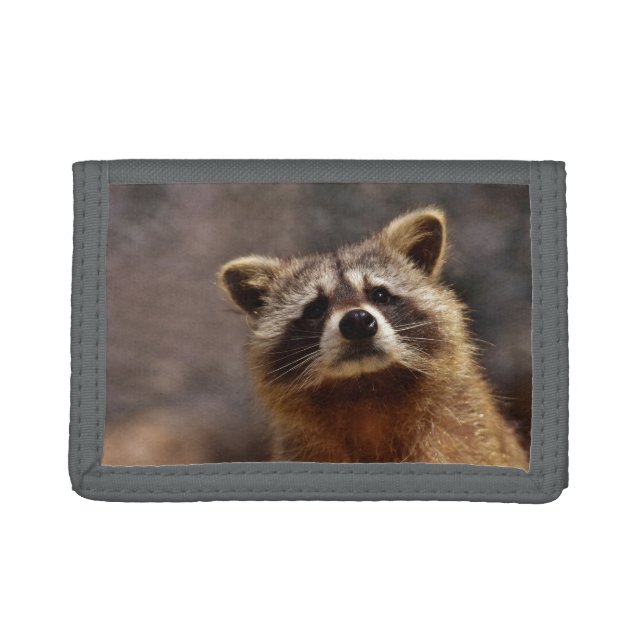 Curious Raccoon Photo Trifold Wallet (Front)