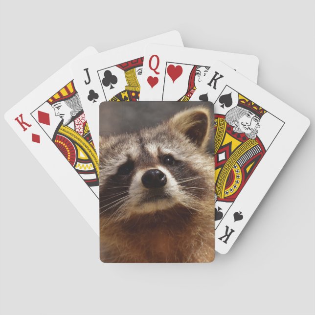 Curious Raccoon Poker Cards (Back)