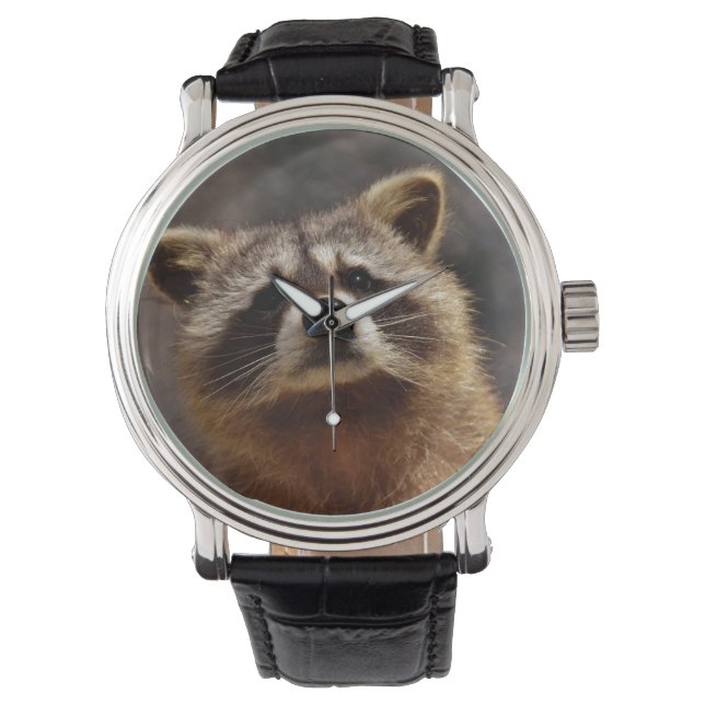 Curious Raccoon Watch (Front)