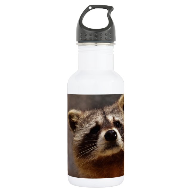 Curious Raccoon Water Bottle (Front)