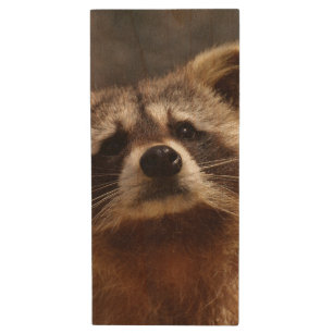 Curious Raccoon Wood Flash Drive