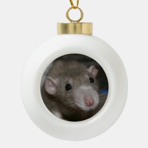 Curious Rat Ceramic Ball Christmas Ornament