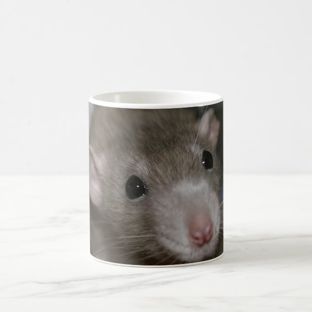 Curious Rat Coffee Mug (Center)