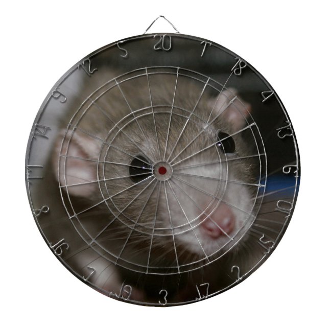 Curious Rat Dart Board (Front)