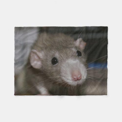 Curious Rat Fleece Blanket