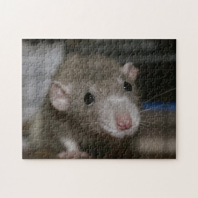 Curious Rat Jigsaw Puzzle (Horizontal)
