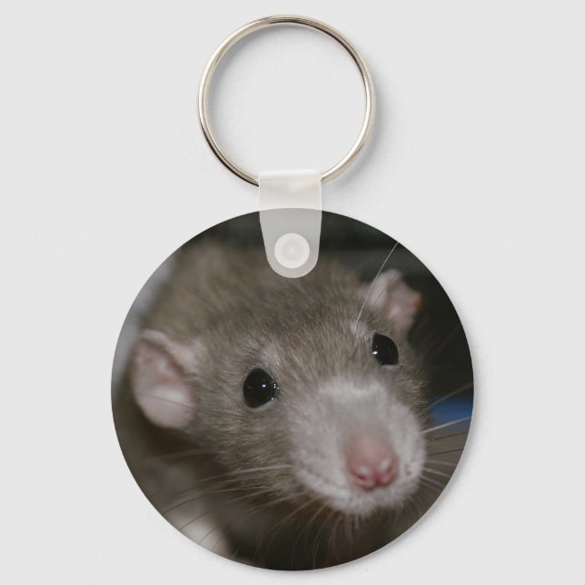 Curious Rat Keychain (Front)