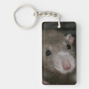 Curious Rat Keychain