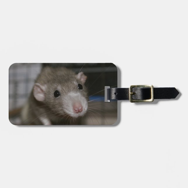 Curious Rat Luggage Tag (Front Horizontal)