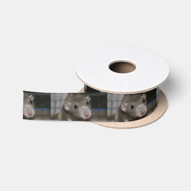 Rat Ribbon Curious Rat Satin Ribbon | Zazzle