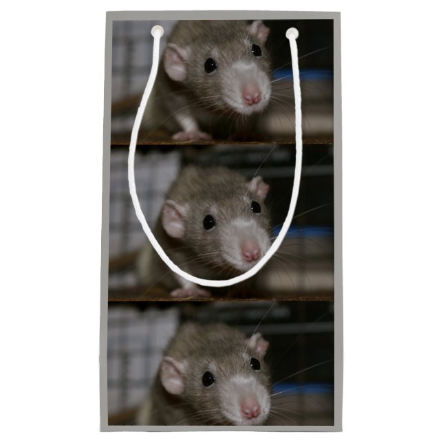 Curious Rat Small Gift Bag (Front)