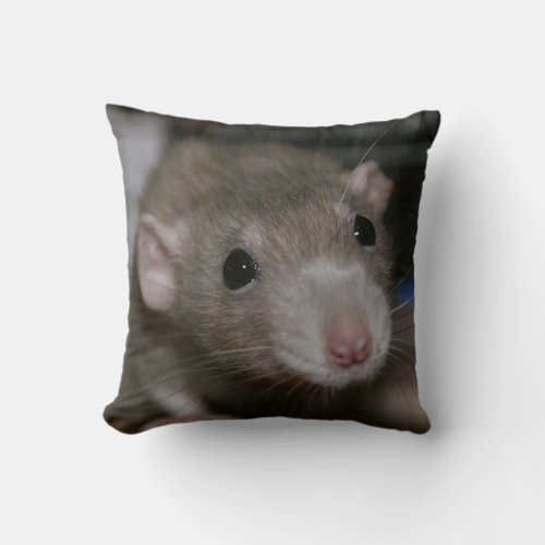 Curious Rat Throw Pillow