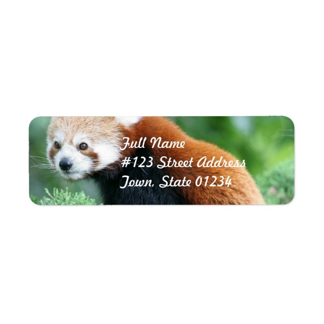 Curious Red Panda Mailing Labels (Front)