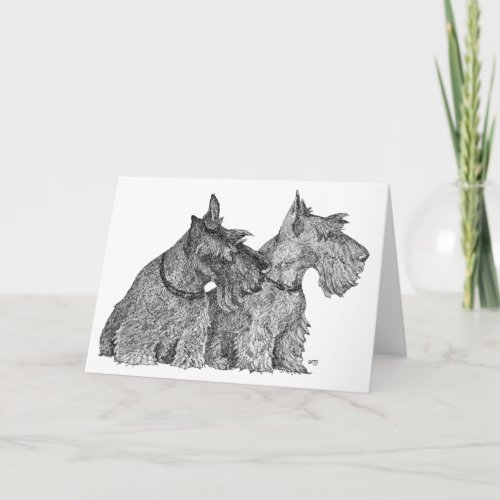 Curious Scottish Terriers Pen  Ink Sketch Card