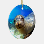 Curious sea lion underwater Galapagos paradise Ceramic Ornament (Right)