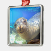 Curious sea lion underwater Galapagos paradise Metal Ornament (Left)