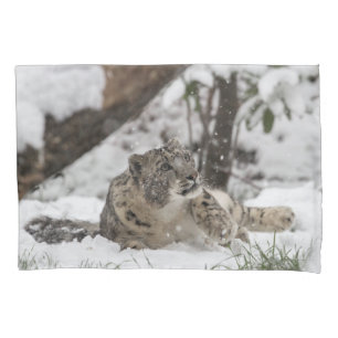 Curious Snow Leopard in Snow Pillow Case