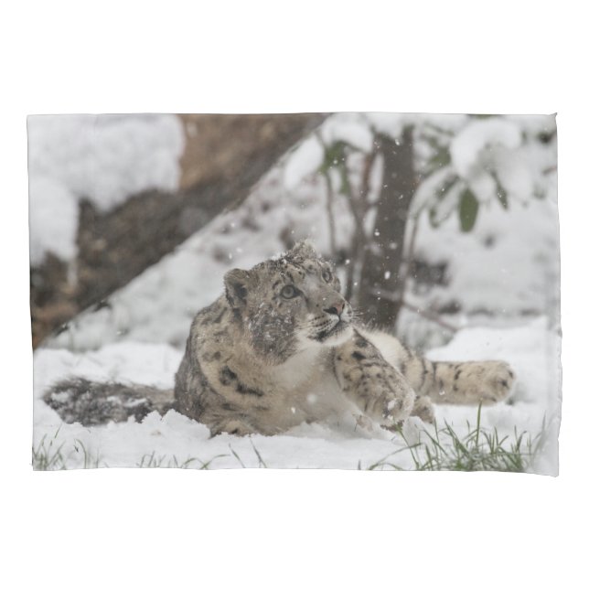 Curious Snow Leopard in Snow Pillow Case (Front)