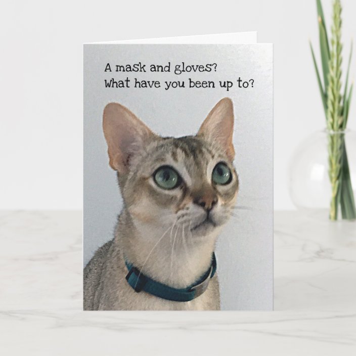 Curious Social Distancing Cat Card | Zazzle