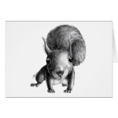 Curious Squirrel (Front Horizontal)