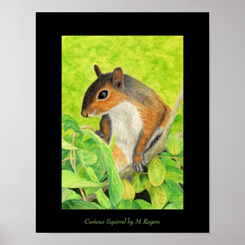 Curious Squirrel Art Print