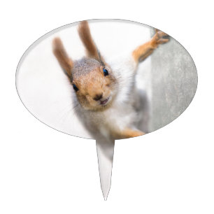 Curious squirrel cake topper