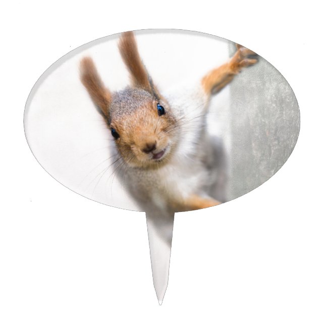 Curious squirrel cake topper (Front)