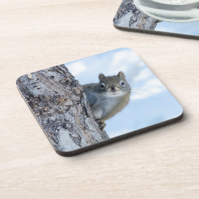 Curious Squirrel, Canadian Animal Photography Beverage Coaster (Left Side)