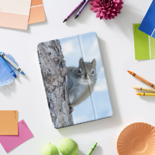 Curious Squirrel, Canadian Animal Photography iPad Pro Cover