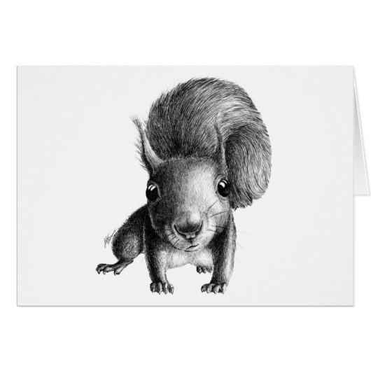 Curious Squirrel Cards (Front Horizontal)