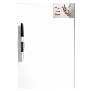 Curious squirrel dry erase board