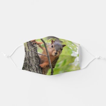 Curious Squirrel Face Mask by Siberianmom at Zazzle