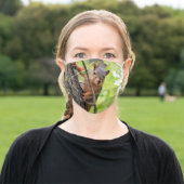 Curious Squirrel Face Mask (Outside)