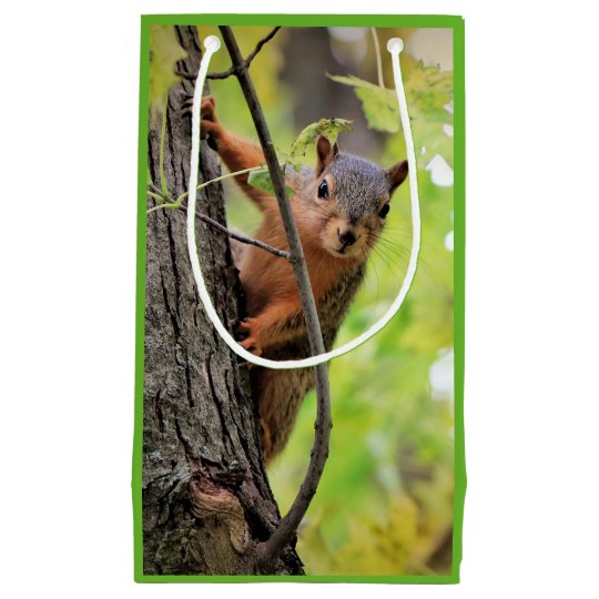 Curious Squirrel Gift Bag | Zazzle.com