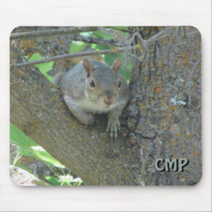 Curious Squirrel in Tree with Your Initials Mouse Pad
