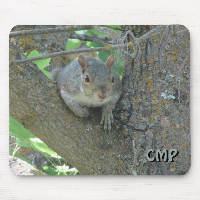 Curious Squirrel in Tree with Your Initials Mouse Pad (Front)