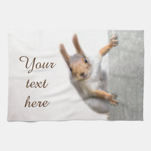 Curious squirrel kitchen towel