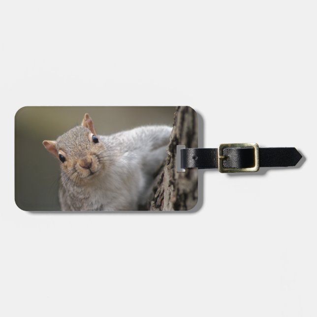 Curious Squirrel Luggage Tag (Front Horizontal)