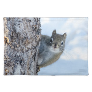 Curious Squirrel, Peaking From A Tree Cloth Placemat