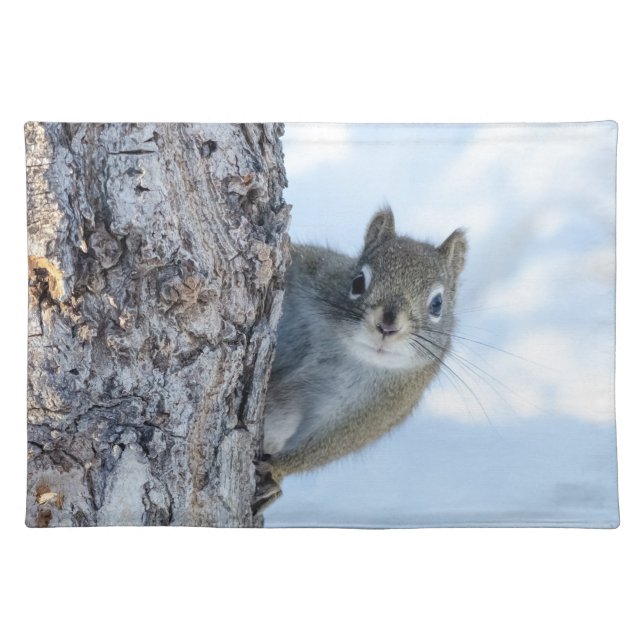 Curious Squirrel, Peaking From A Tree Cloth Placemat (Front)
