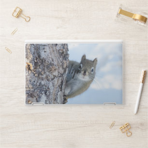 Curious Squirrel, Peaking From A Tree HP Laptop Skin
