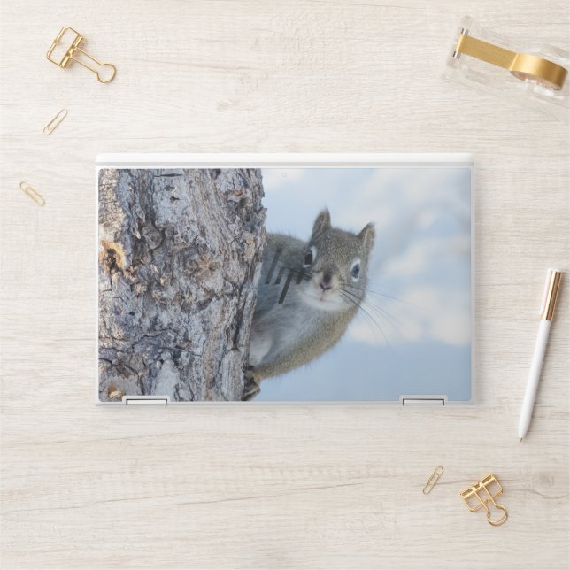 Curious Squirrel, Peaking From A Tree HP Laptop Skin (Desk)