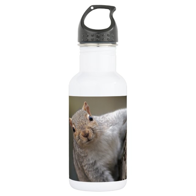 Curious Squirrel Water Bottle (Front)