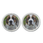 Curious St Bernard Cufflinks