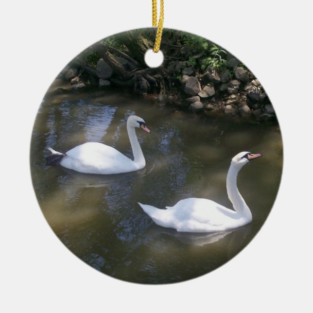 Curious Swans Ornament (Front)
