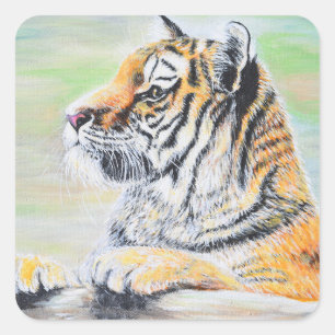 Curious Tiger Painting Square Sticker
