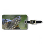 Curious Turtle Luggage Tag