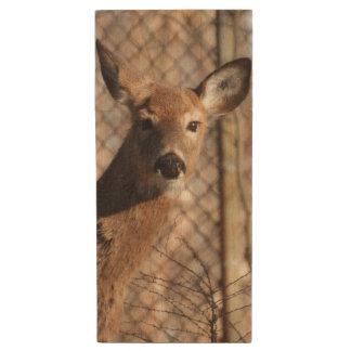 Curious White Tail Deer Wood Flash Drive