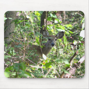 Curious Whitetail Deer  Mouse Pad