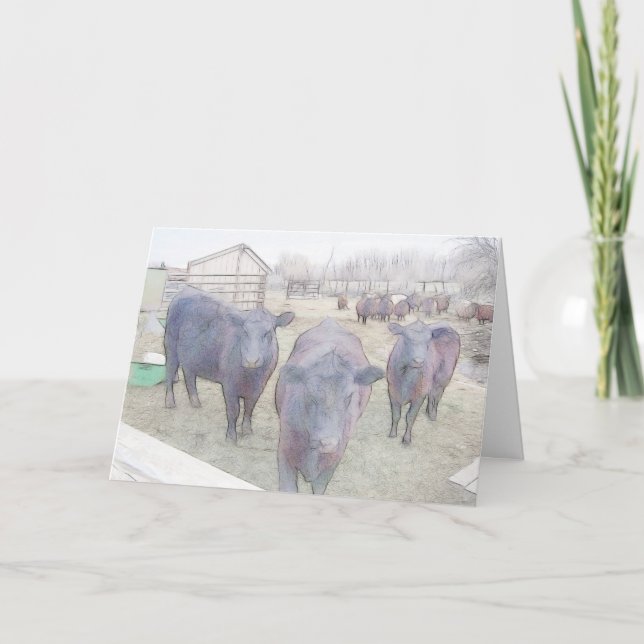 Curious Young Black Angus Letterpress Thank You Card (Front)